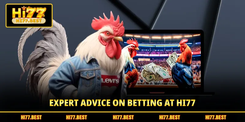 Expert advice on betting at HI77