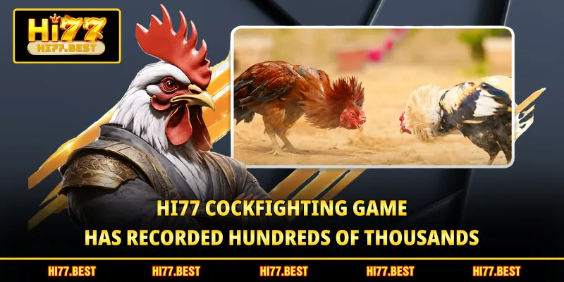 HI77 cockfighting game has recorded hundreds of thousands 